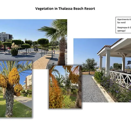 Apartment Seaside Modern For Family Vokolidha