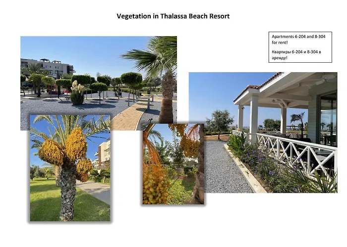 Apartmán Seaside Modern For Family Vokolidha